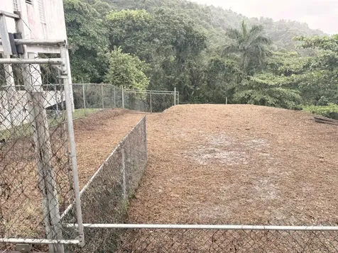 Bo Pitahaya Luquillo PR 00773