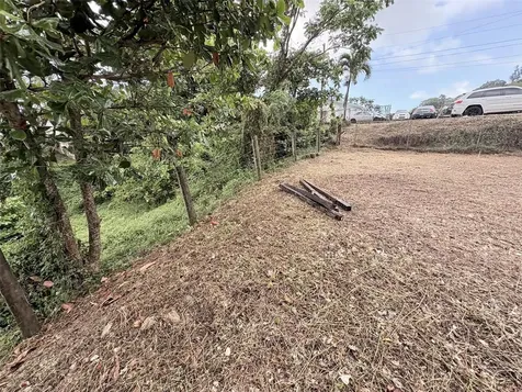 Bo Pitahaya Luquillo PR 00773