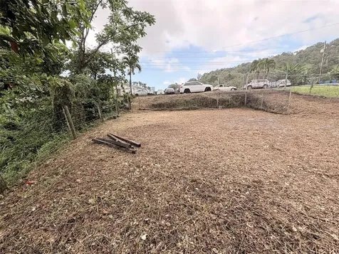 Bo Pitahaya Luquillo PR 00773