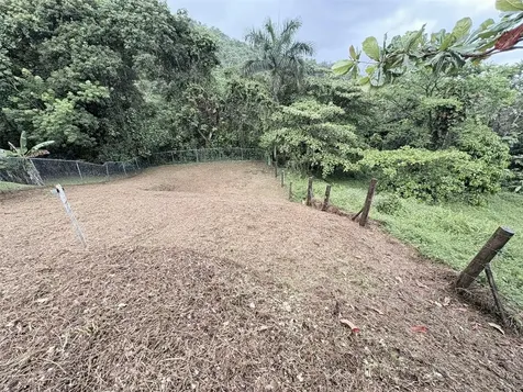 Bo Pitahaya Luquillo PR 00773