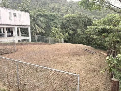 Bo Pitahaya Luquillo PR 00773