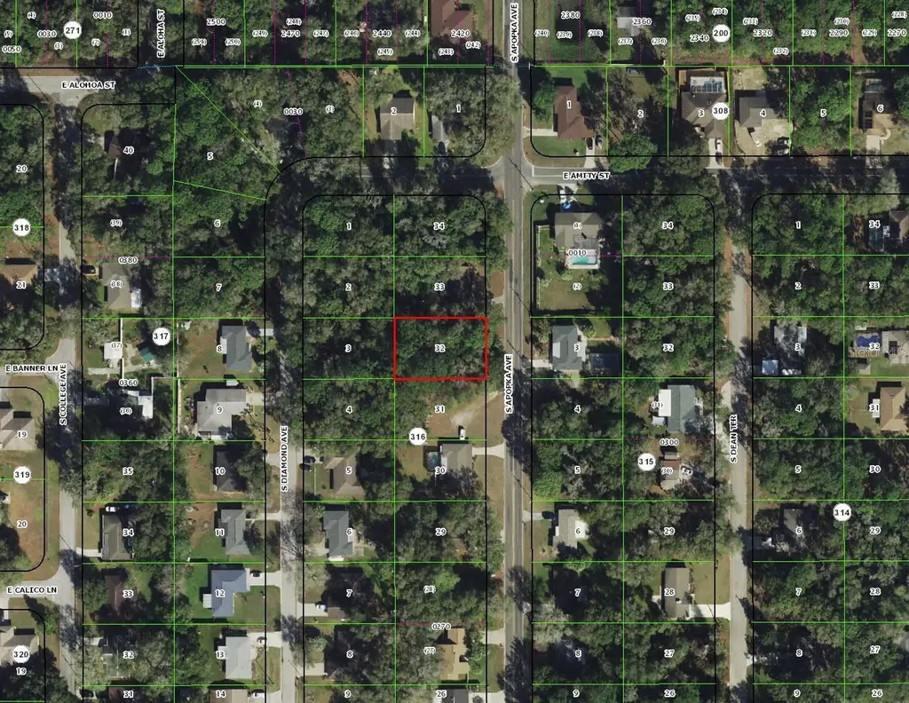 3366 S Apopka Avenue Inverness FL 34452