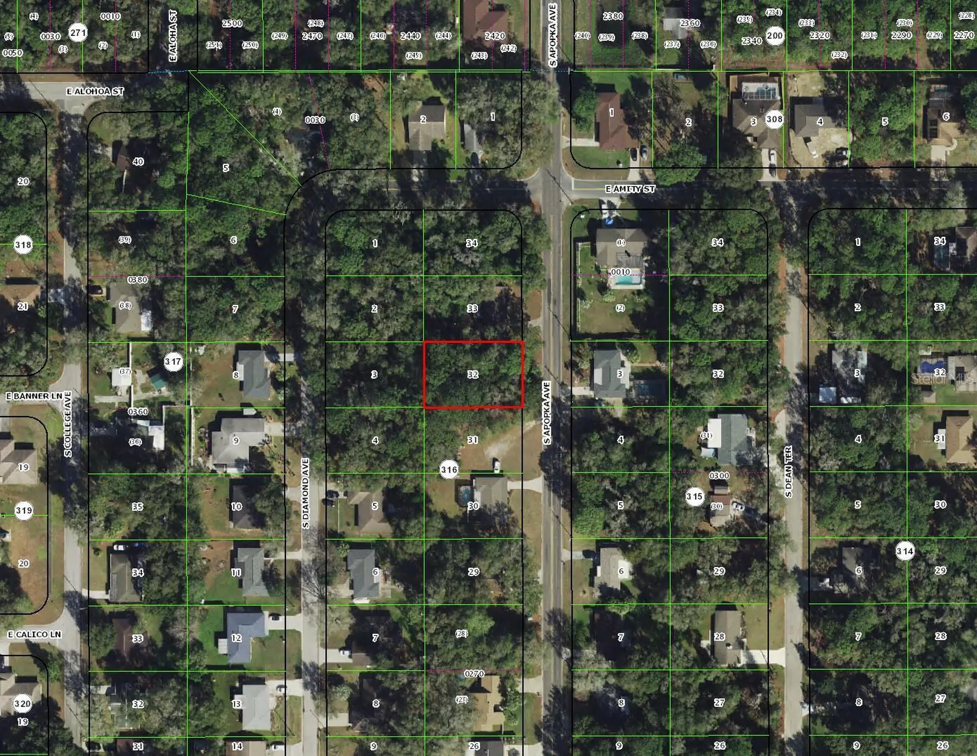 3366 S Apopka Avenue Inverness FL 34452