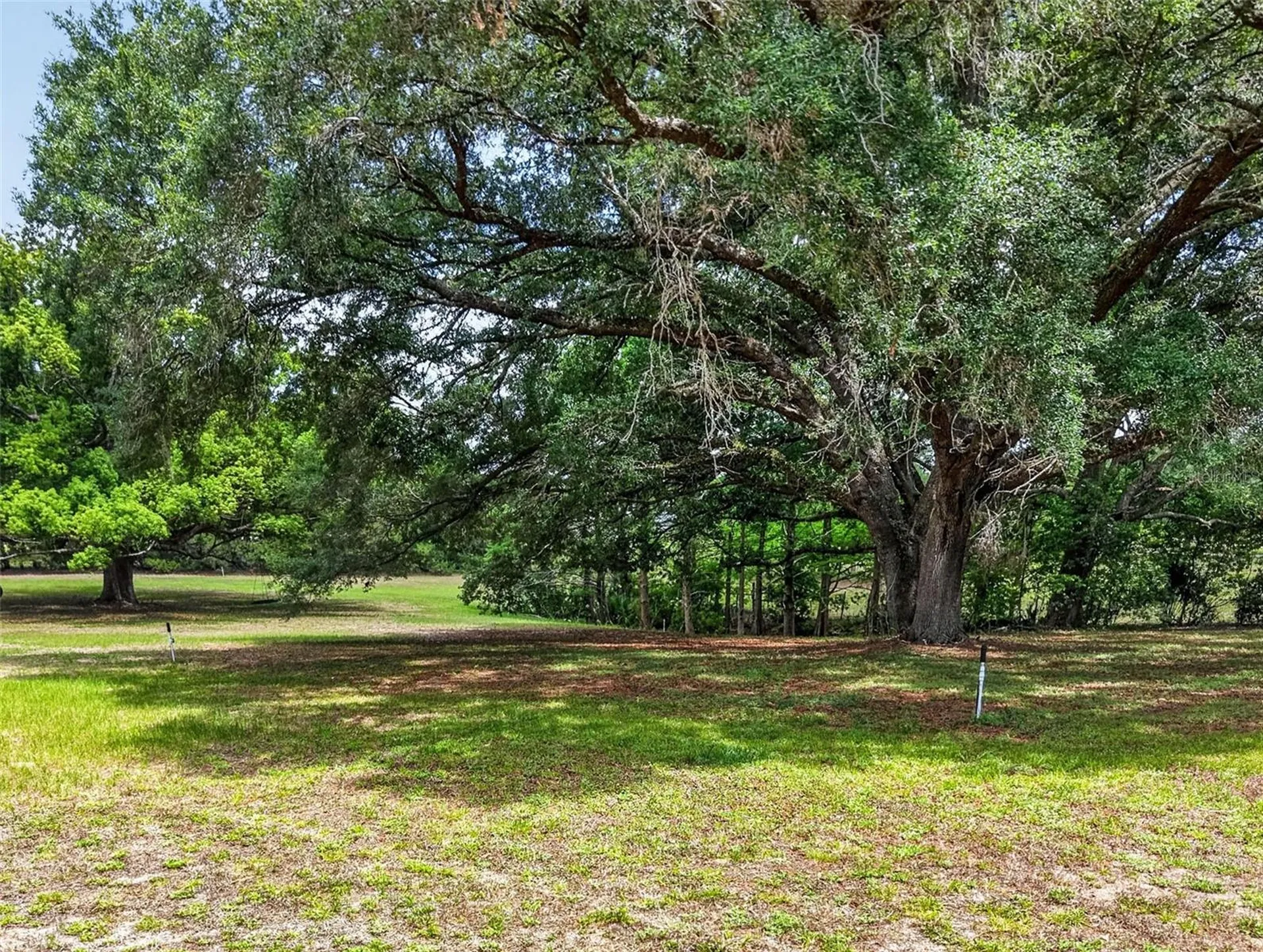 40635 Thomas Boat Landing Road Umatilla FL 32784