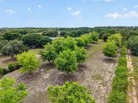 40635 Thomas Boat Landing Road Umatilla FL 32784