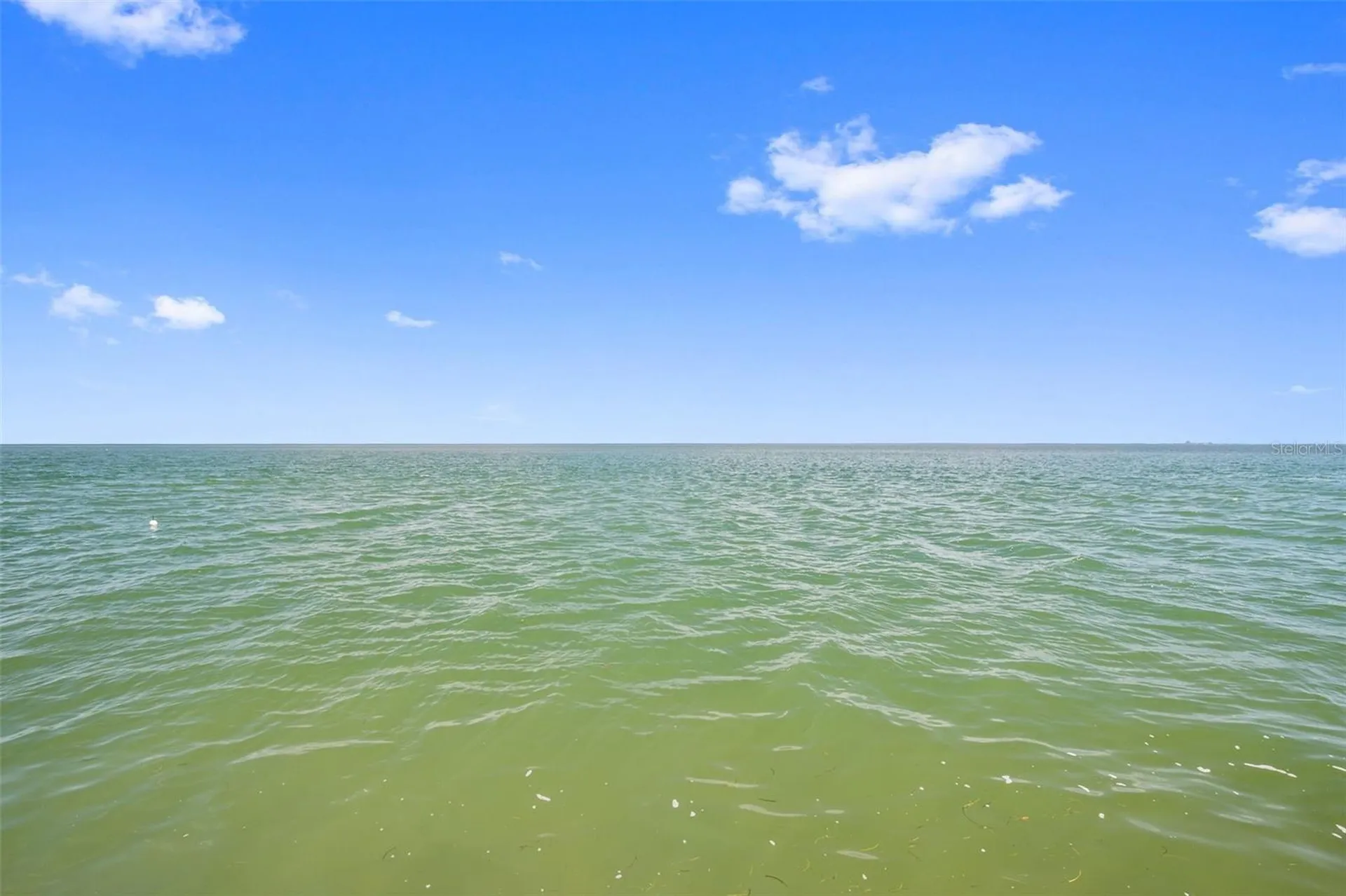 4842 Coquina Key Drive SE St Petersburg FL 33705
