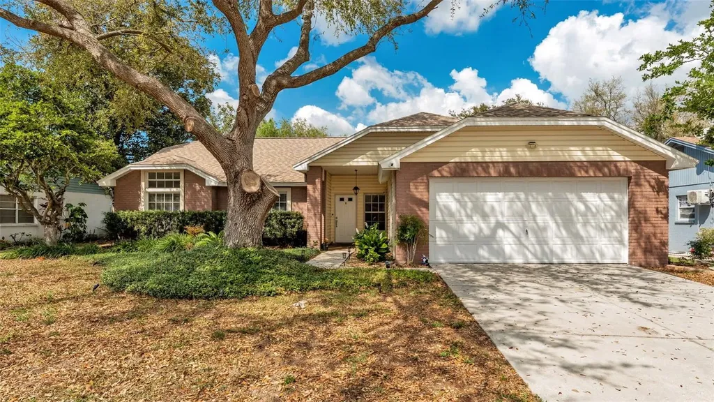 12224 Wildbrook Drive Riverview FL 33569