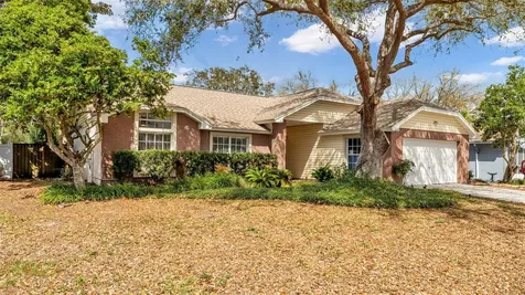 12224 Wildbrook Drive Riverview FL 33569