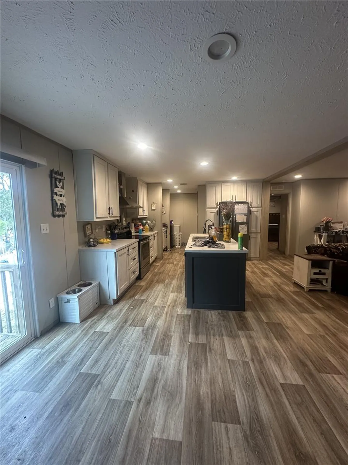 42833 Cooter Pond Road Deland FL 32720