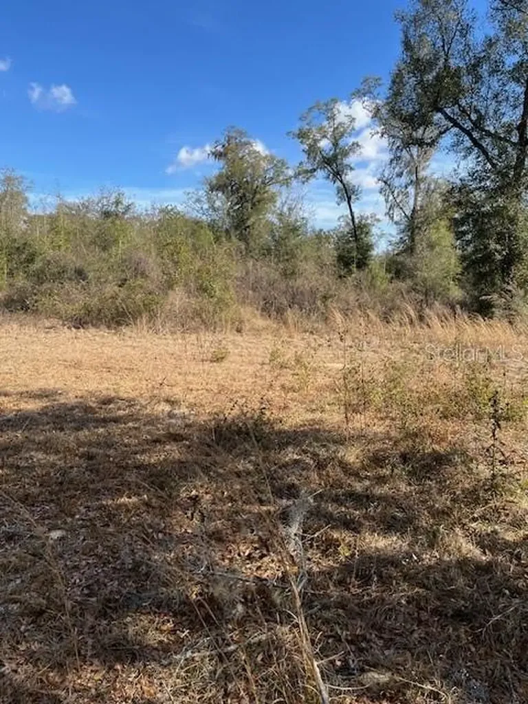 NW 7th Street Ocala FL 34482