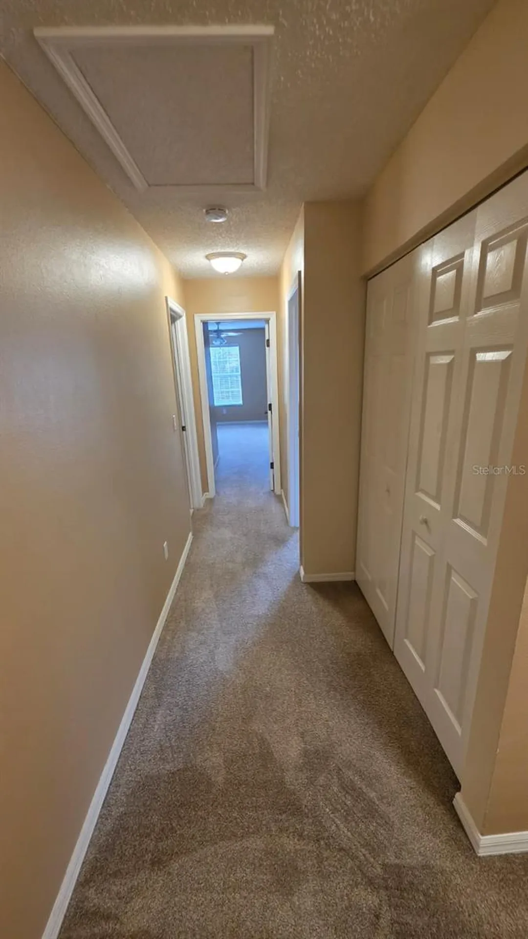 4216 Winding River Way Land O Lakes FL 34639