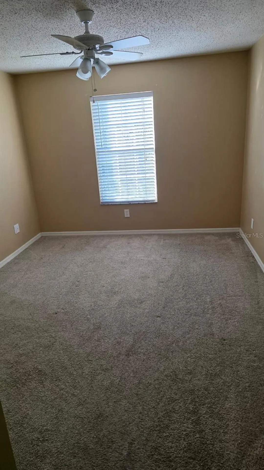 4216 Winding River Way Land O Lakes FL 34639
