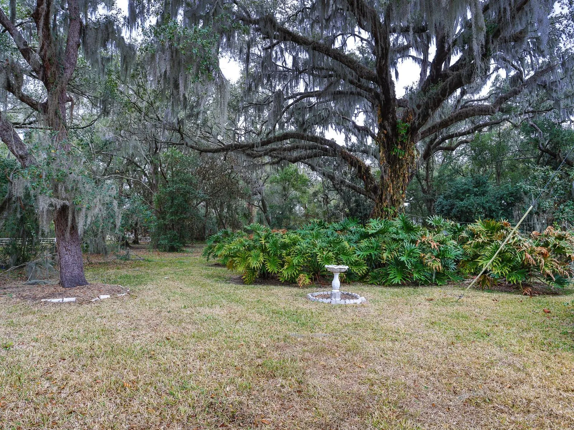1095 S Broadway Avenue Bartow FL 33830