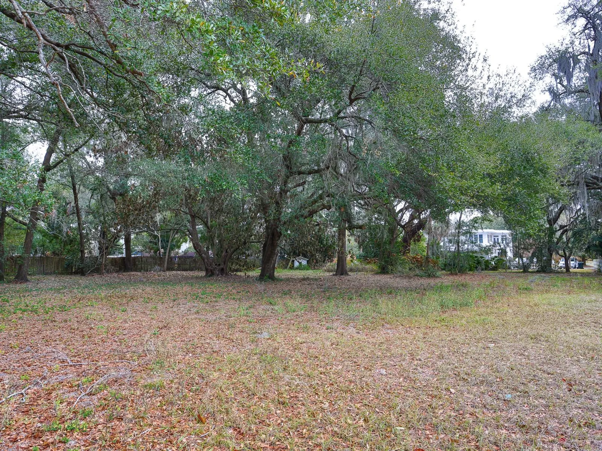 1095 S Broadway Avenue Bartow FL 33830