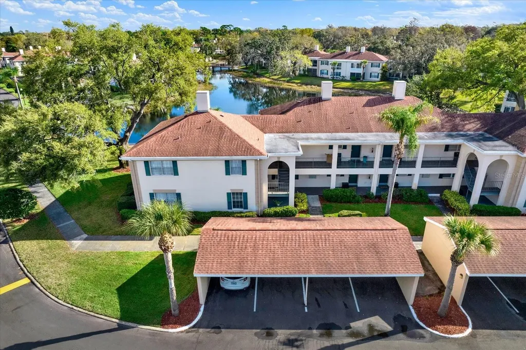 10330 Carrollwood Lane Tampa FL 33618