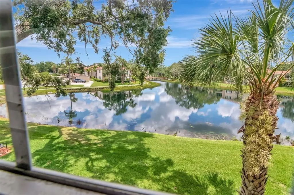 10330 Carrollwood Lane Tampa FL 33618