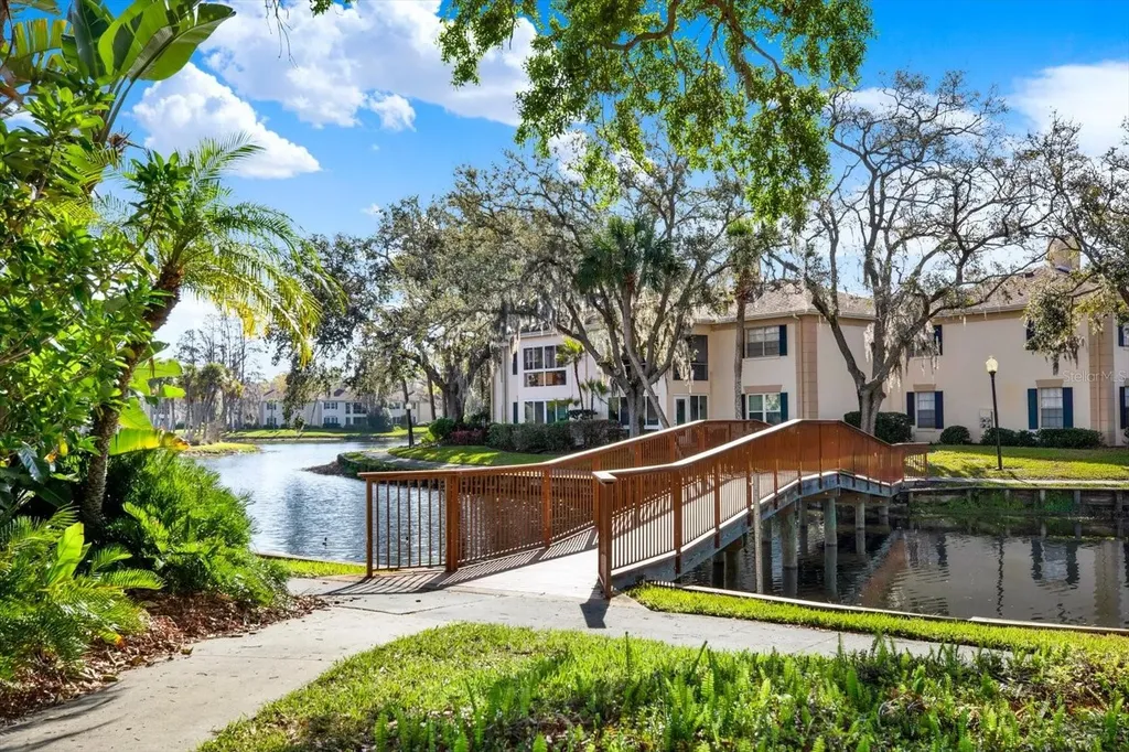 10330 Carrollwood Lane Tampa FL 33618