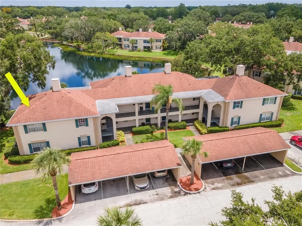 10330 Carrollwood Lane Tampa FL 33618