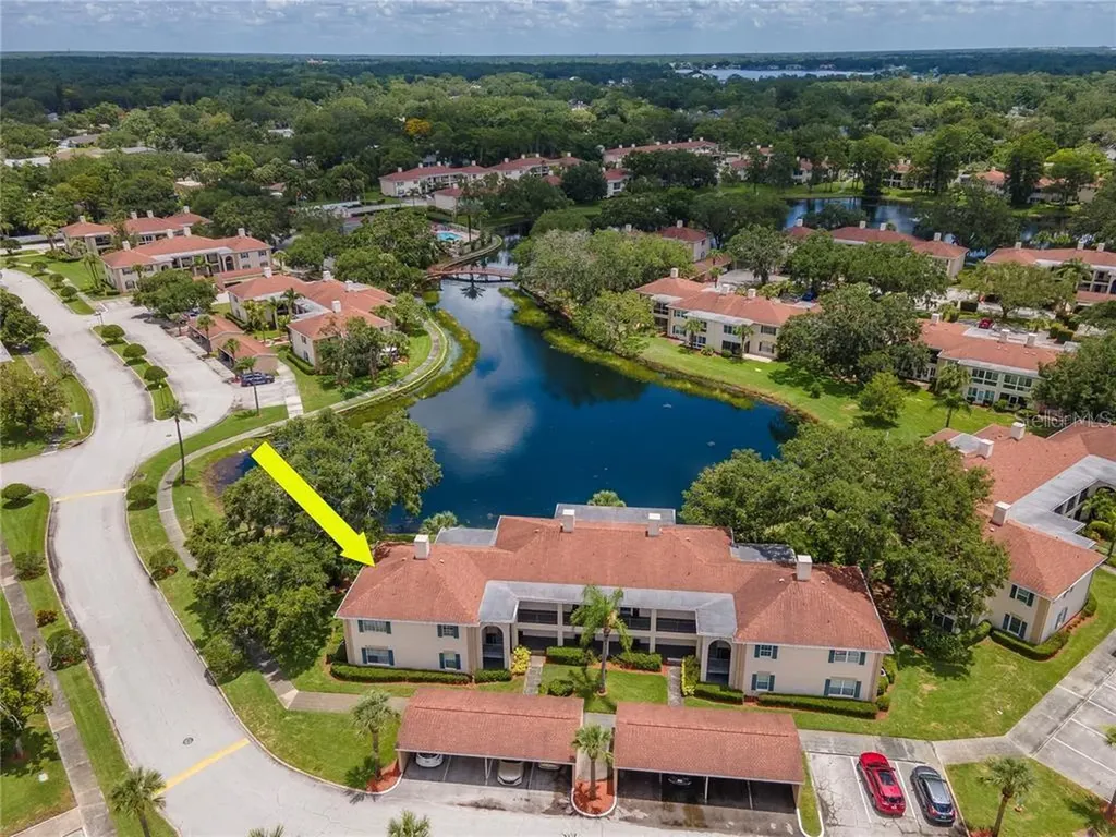 10330 Carrollwood Lane Tampa FL 33618