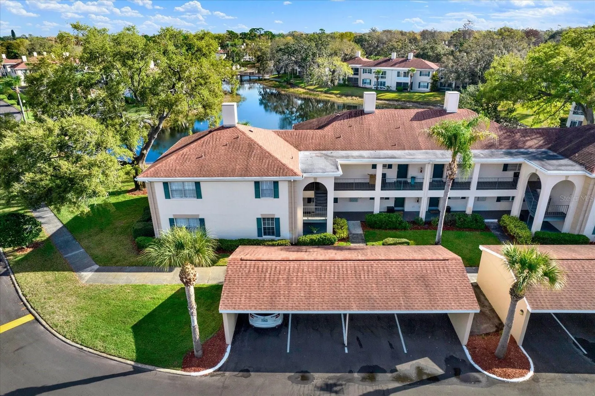 10330 Carrollwood Lane Tampa FL 33618