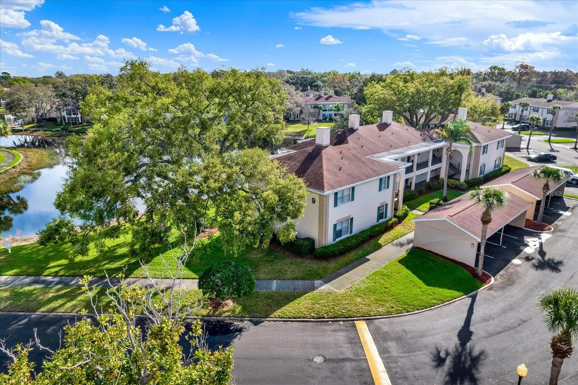 10330 Carrollwood Lane Tampa FL 33618