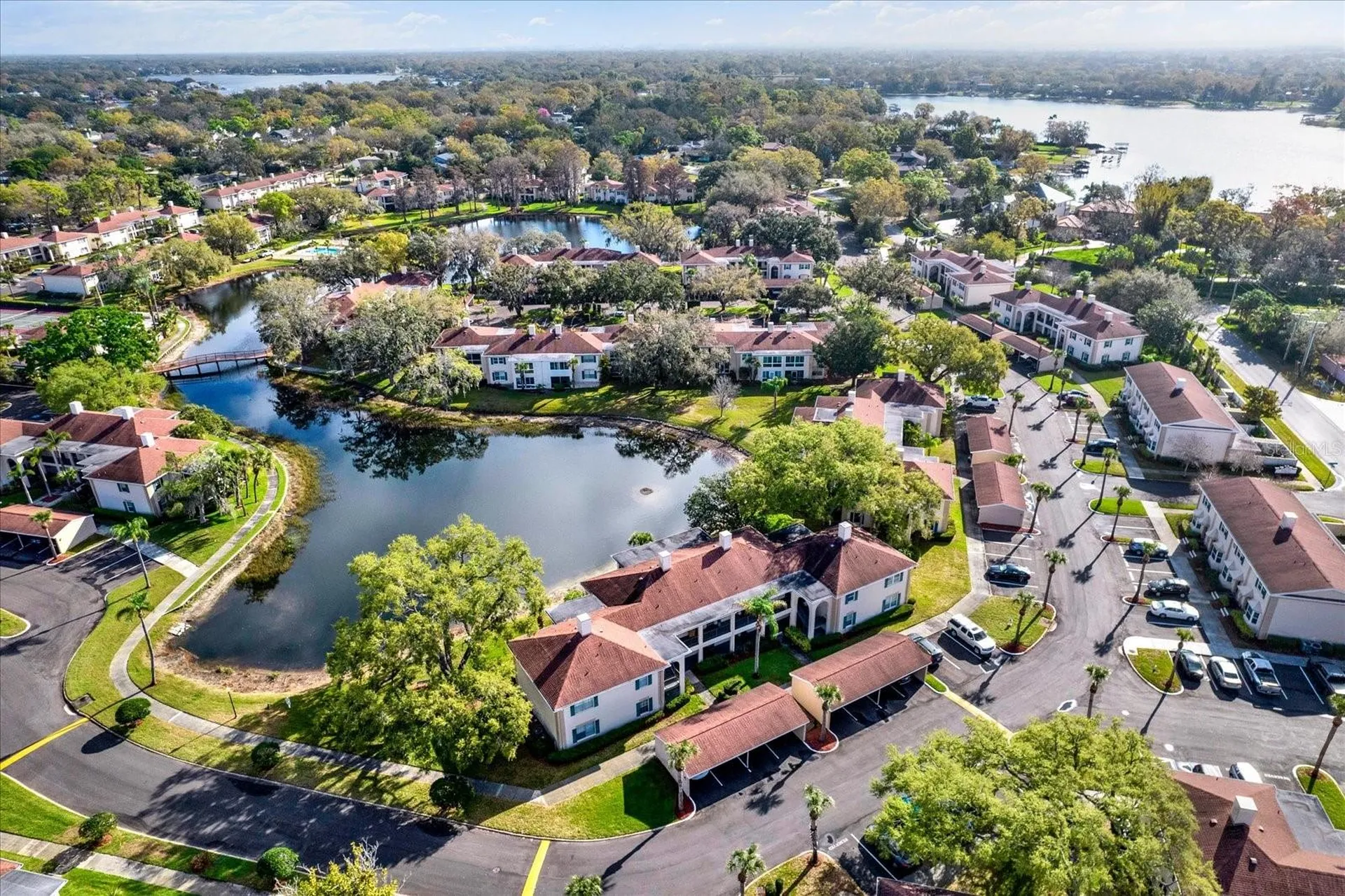 10330 Carrollwood Lane Tampa FL 33618