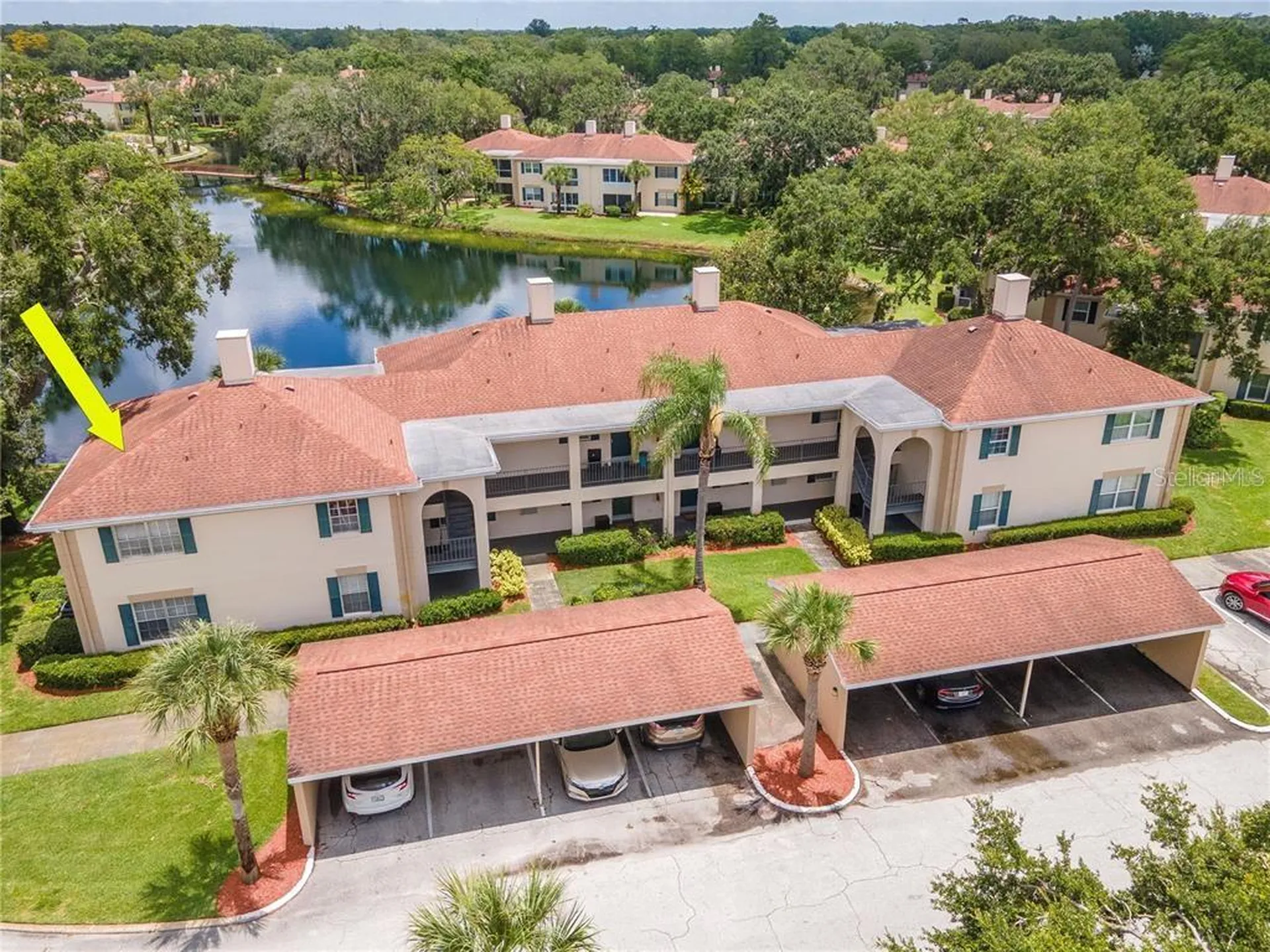 10330 Carrollwood Lane Tampa FL 33618