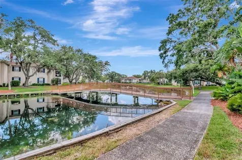 10330 Carrollwood Lane Tampa FL 33618
