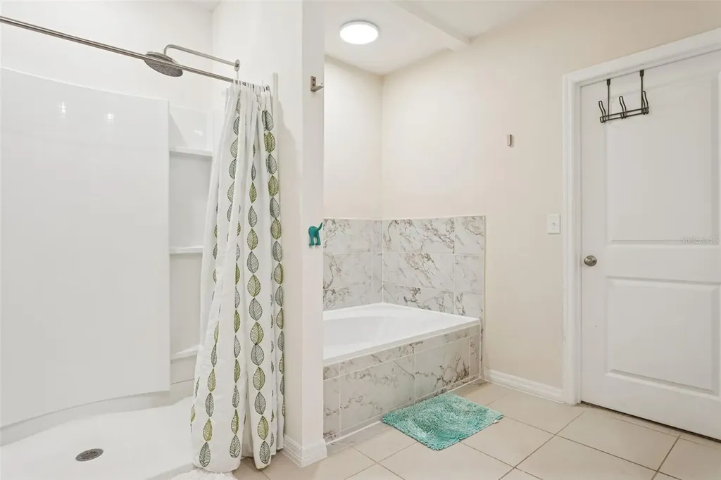 32871 Brooks Hawk Lane Wesley Chapel FL 33543