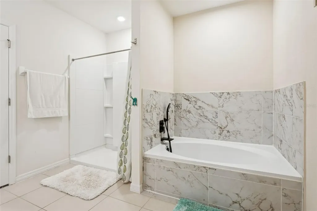 32871 Brooks Hawk Lane Wesley Chapel FL 33543
