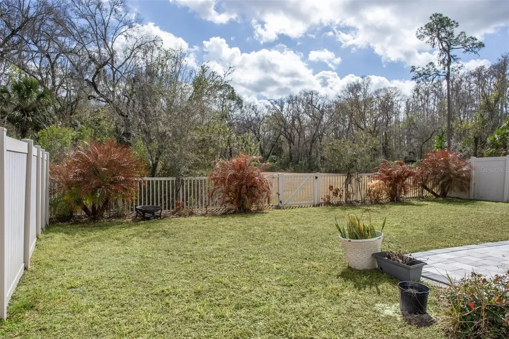 32871 Brooks Hawk Lane Wesley Chapel FL 33543