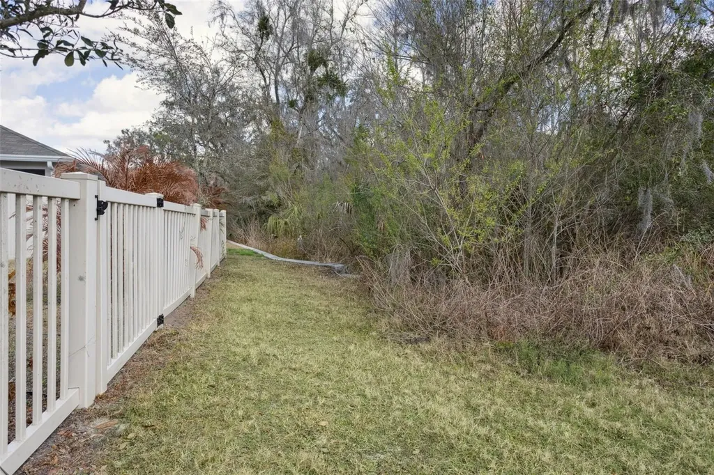 32871 Brooks Hawk Lane Wesley Chapel FL 33543