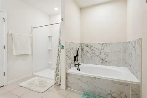 32871 Brooks Hawk Lane Wesley Chapel FL 33543