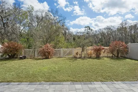 32871 Brooks Hawk Lane Wesley Chapel FL 33543