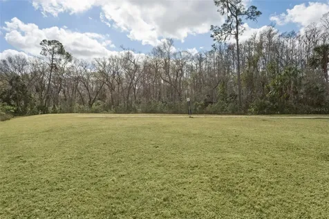 32871 Brooks Hawk Lane Wesley Chapel FL 33543