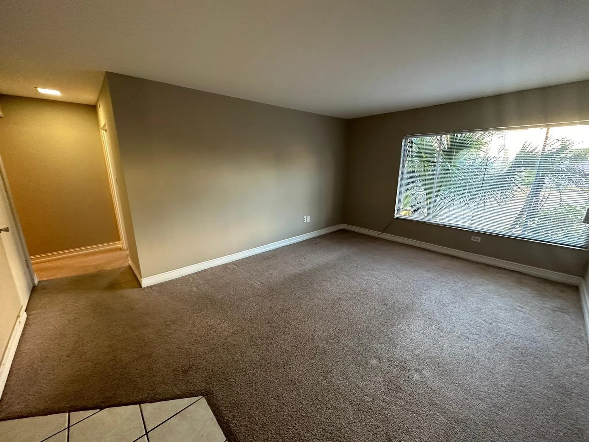 1830 Maravilla Avenue Fort Myers FL 33901