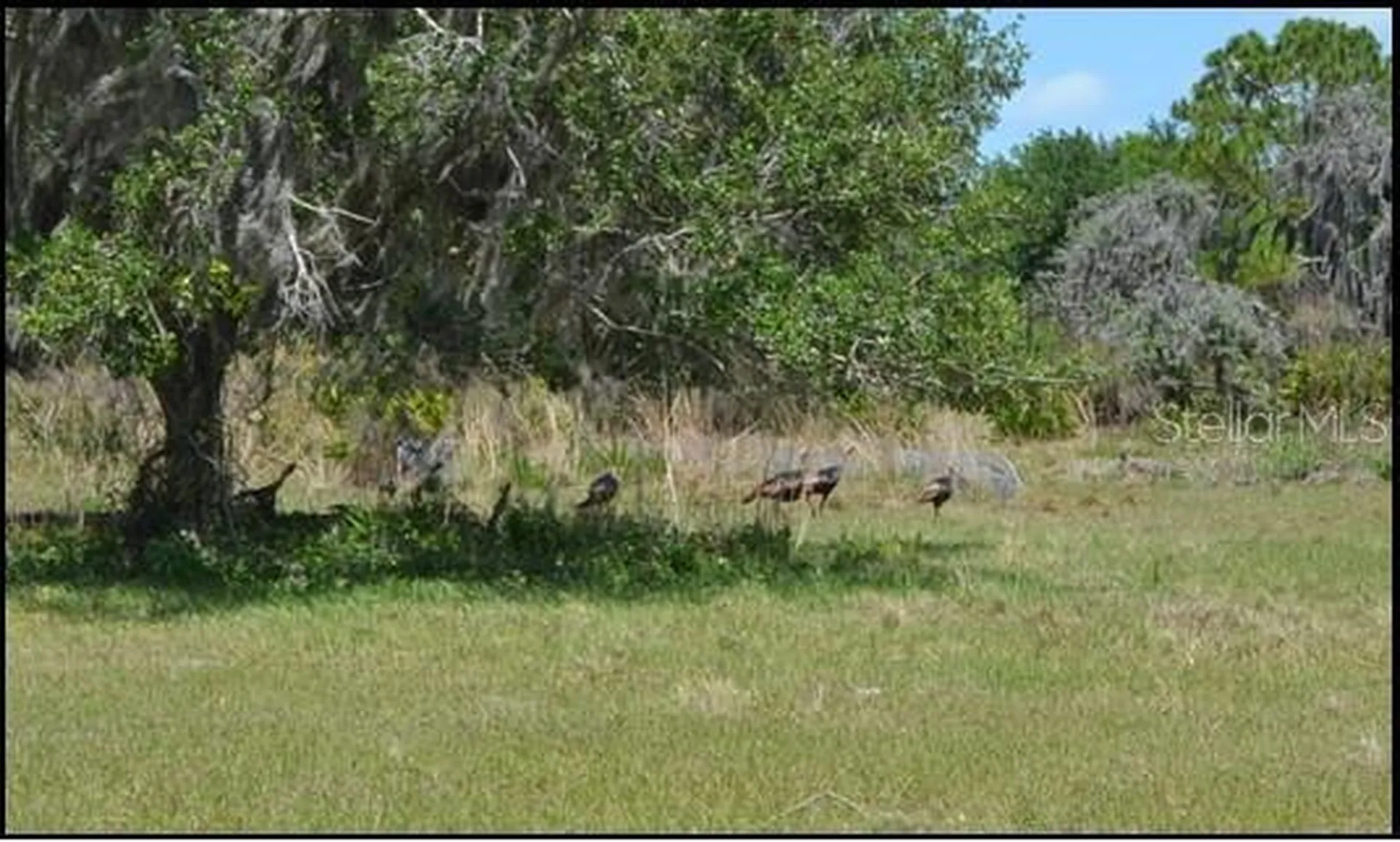 834 Logue Road Myakka City FL 34251