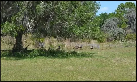 834 Logue Road Myakka City FL 34251