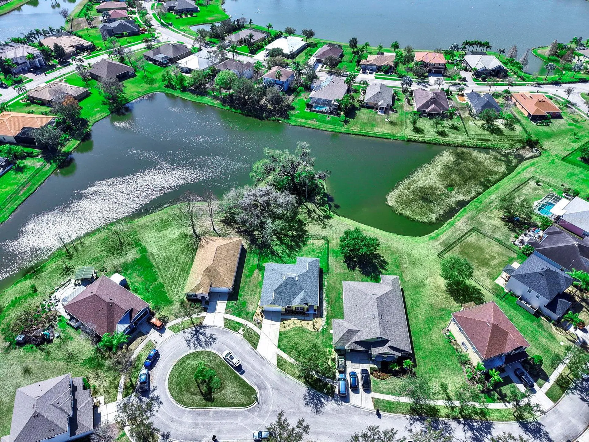 5419 Hammock View Lane Apollo Beach FL 33572