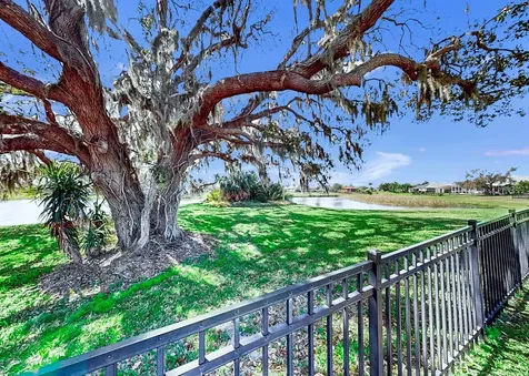 5419 Hammock View Lane Apollo Beach FL 33572