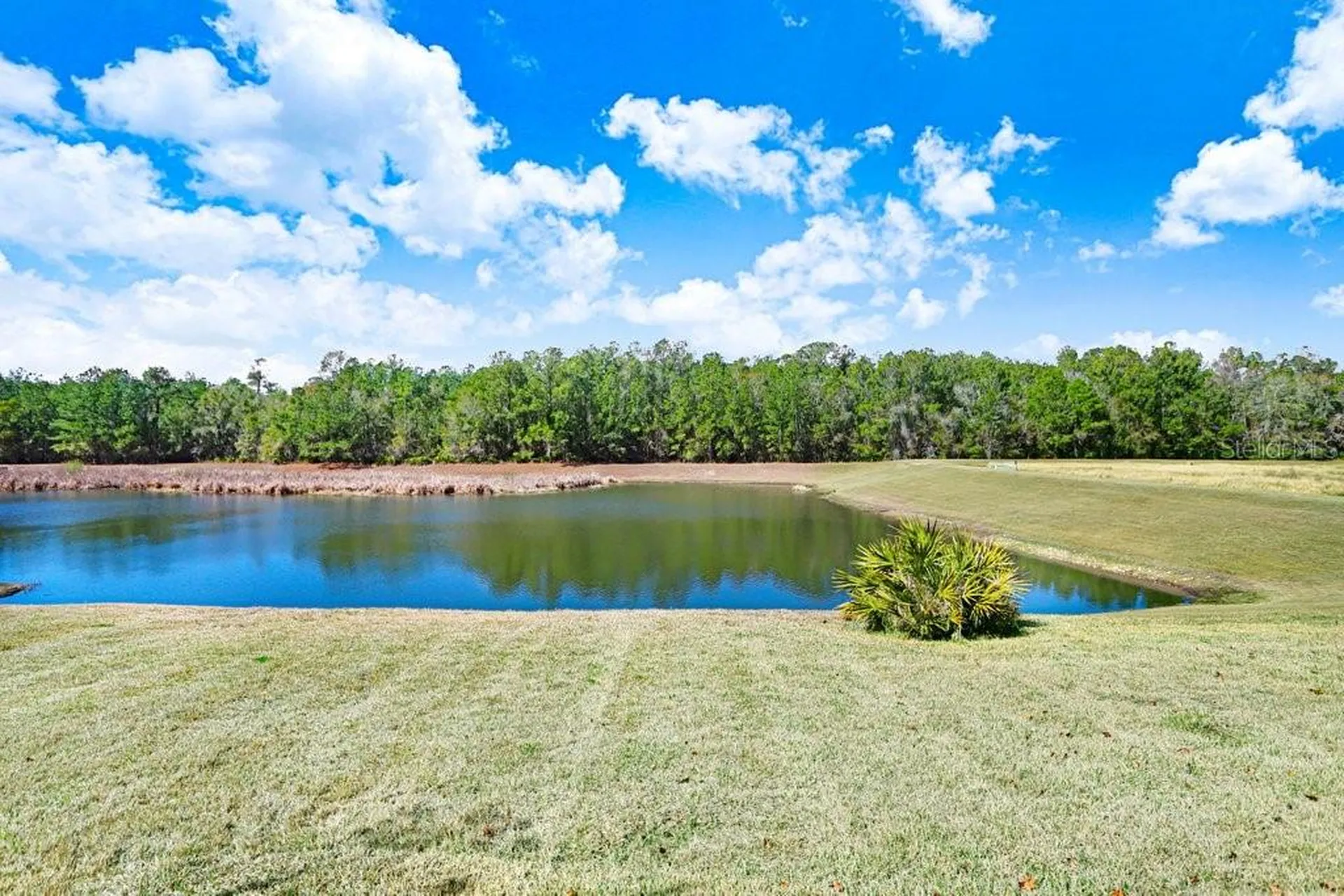 5731 Summit View Drive Brooksville FL 34601
