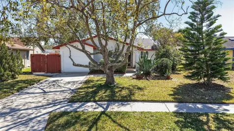 215 Lake Charles Court Oldsmar FL 34677