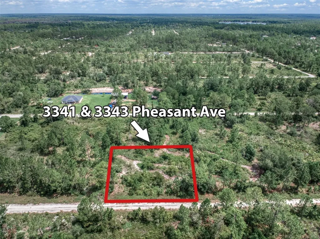 3341 & 3343 Pheasant Avenue Lake Placid FL 33852