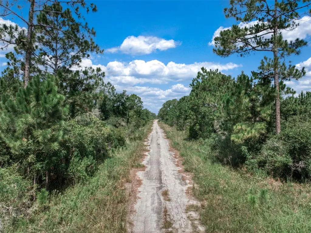 3341 & 3343 Pheasant Avenue Lake Placid FL 33852