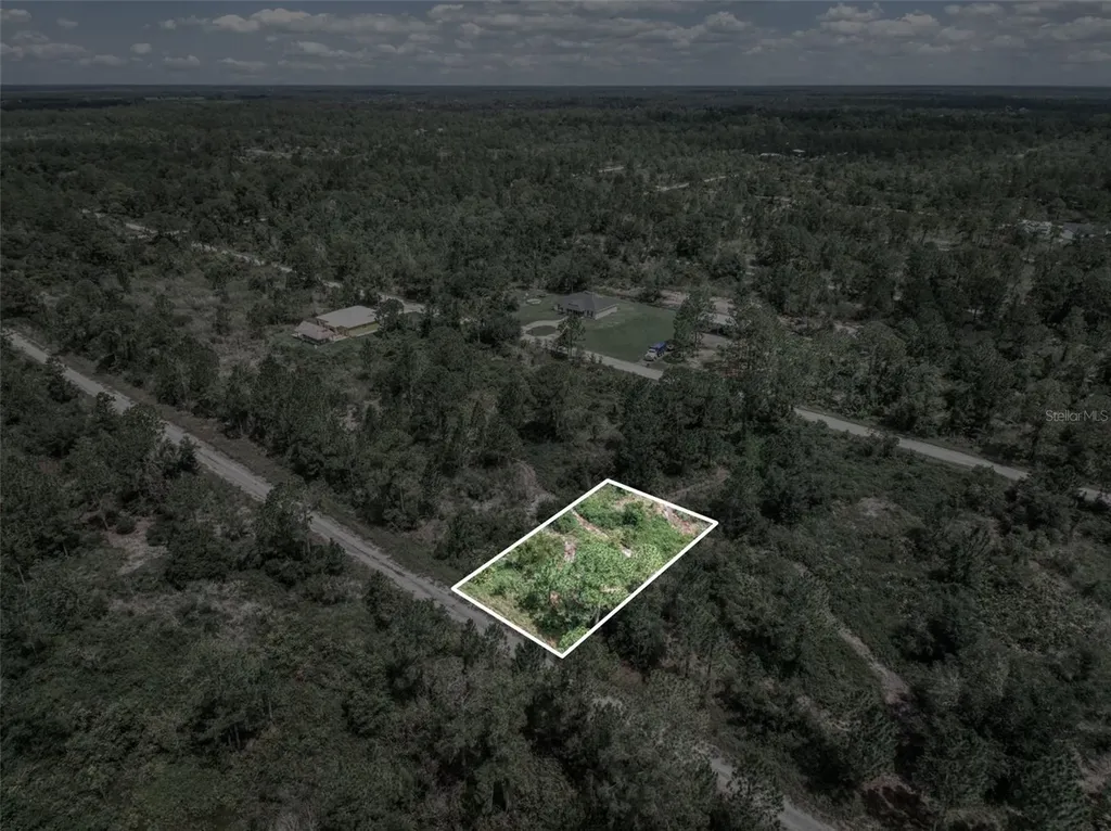 3341 & 3343 Pheasant Avenue Lake Placid FL 33852