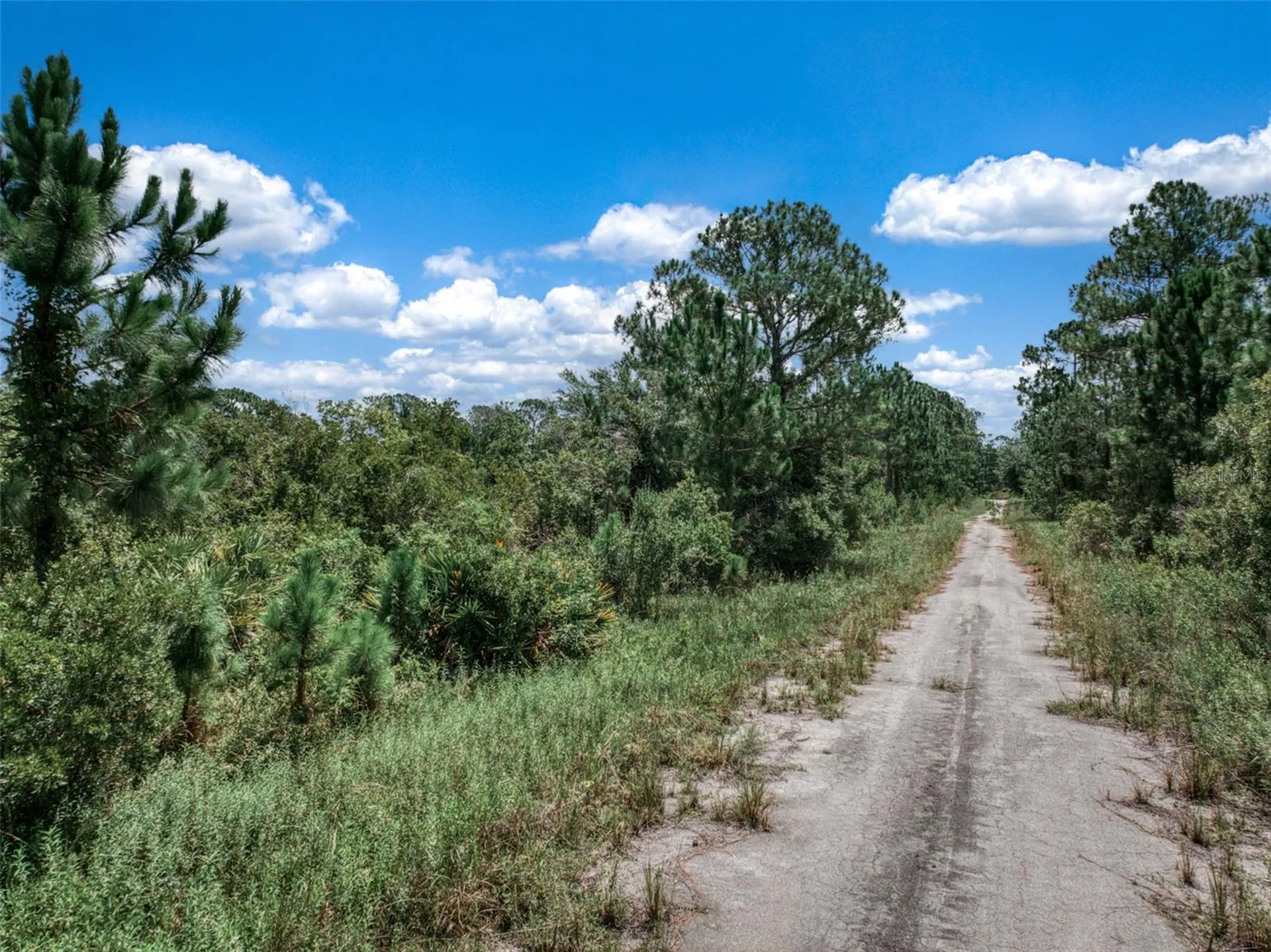 3341 & 3343 Pheasant Avenue Lake Placid FL 33852
