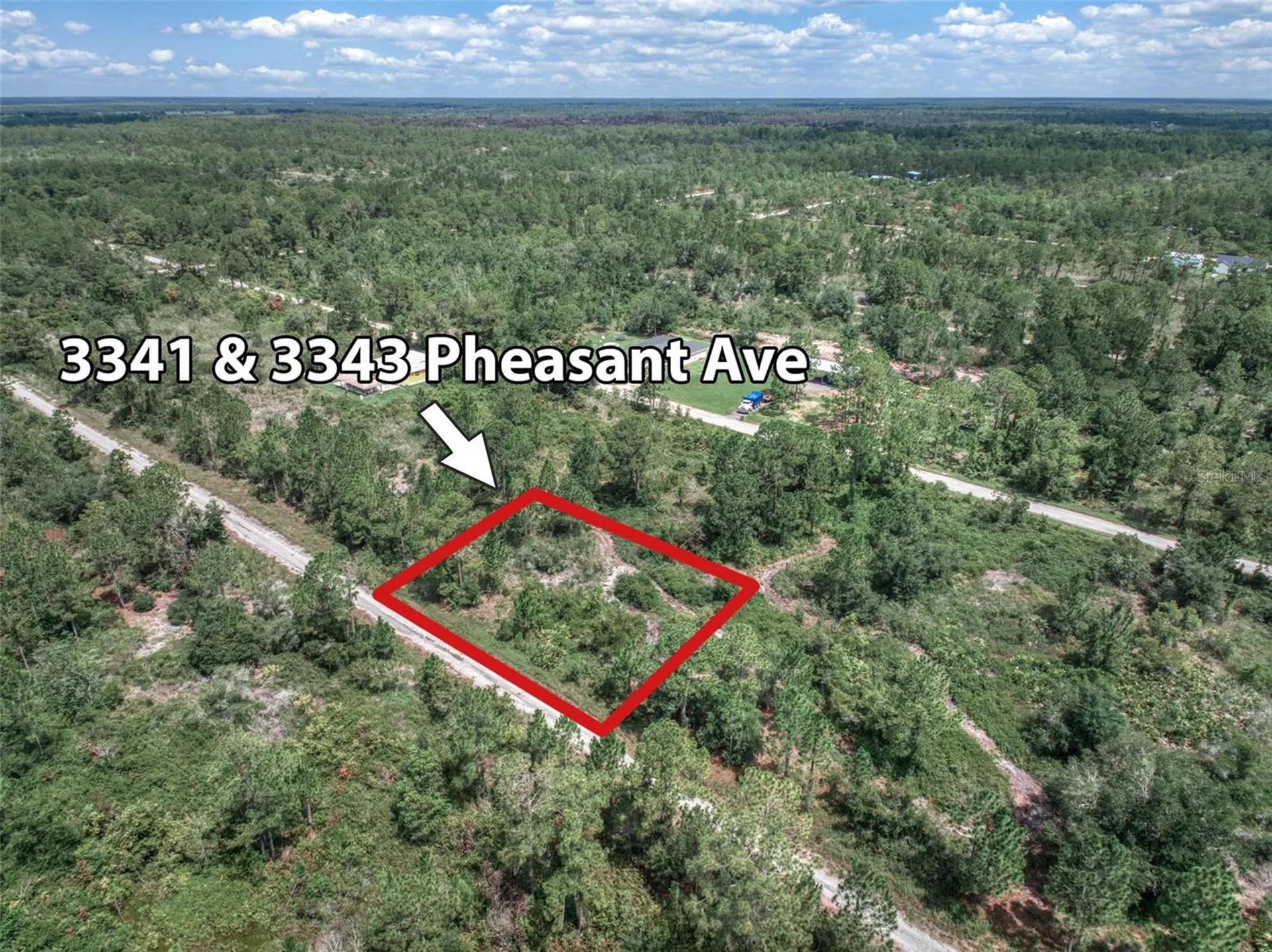 3341 & 3343 Pheasant Avenue Lake Placid FL 33852