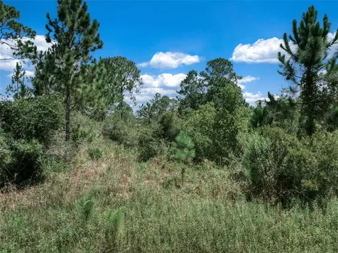 3341 & 3343 Pheasant Avenue Lake Placid FL 33852