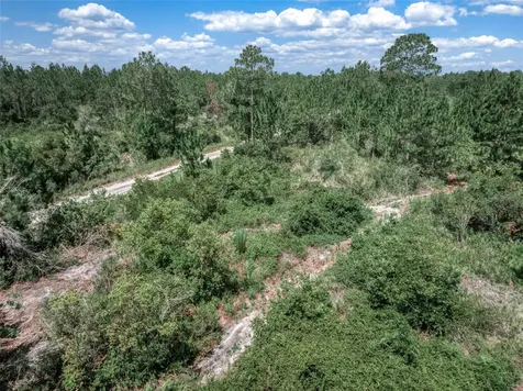 3341 & 3343 Pheasant Avenue Lake Placid FL 33852