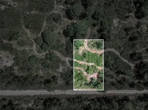 3341 & 3343 Pheasant Avenue Lake Placid FL 33852